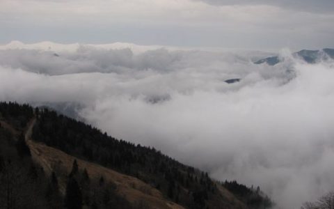 60